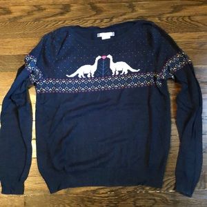 Navy blue sweater with dinosaurs